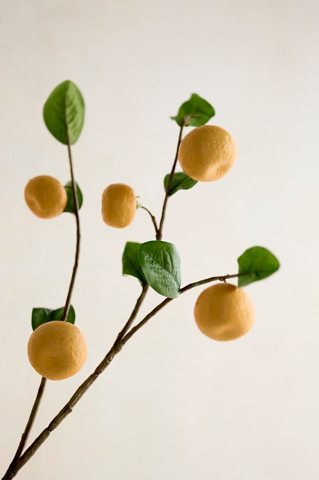 Faux Orange Spray #1