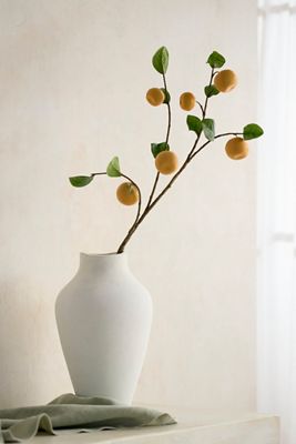 Faux Orange Spray