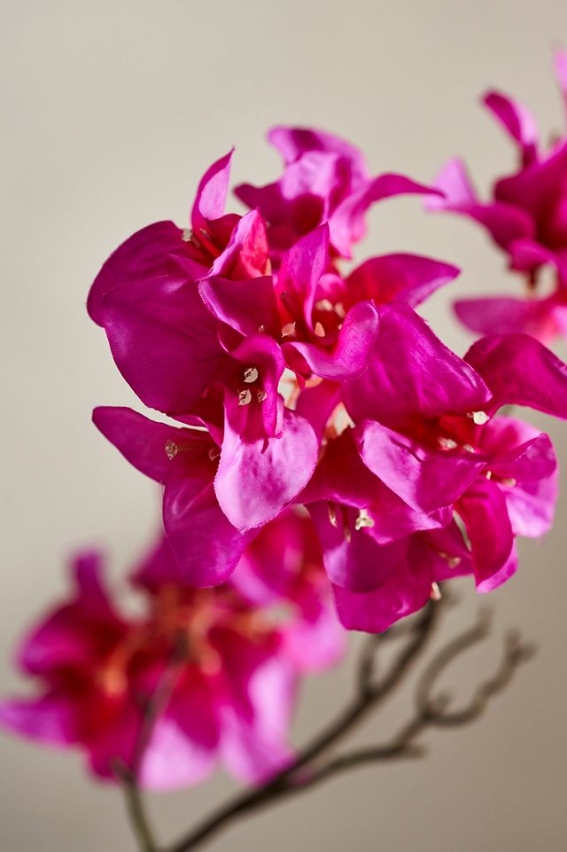Faux Bougainvillea Spray #1