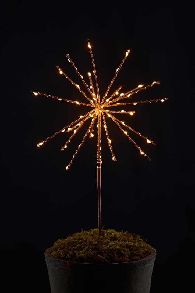 Stargazer Supernova Twinkling Stake Light | Terrain