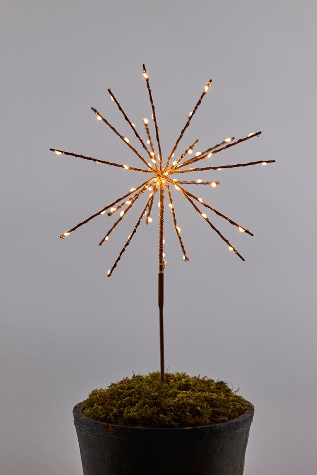 Stargazer Supernova Twinkling Stake Light | Terrain