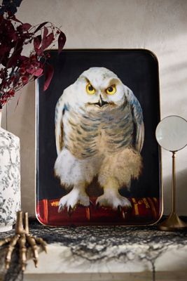 Printed Archival Tray, Extra Large