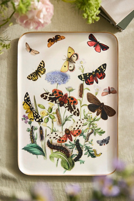 Terrain Printed Archival Tray, Extra Large