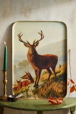 Printed Archival Tray, Extra Large