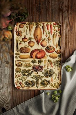 Printed Archival Tray, Extra Large