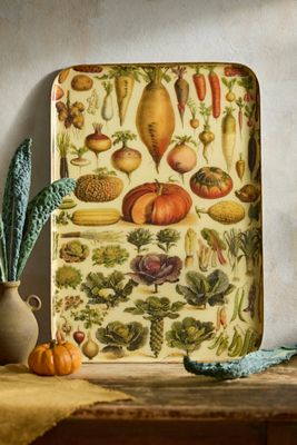 Printed Archival Tray, Extra Large