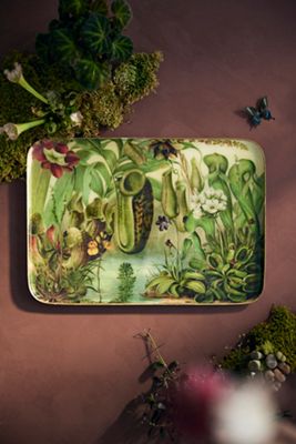 Printed Archival Tray, Extra Large