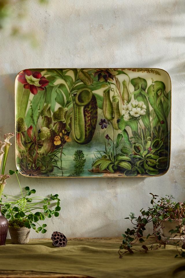 Printed Archival Tray, Extra Large #1