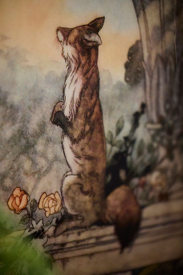 Printed Archival Tray, Large #1