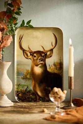 Printed Archival Tray, Large