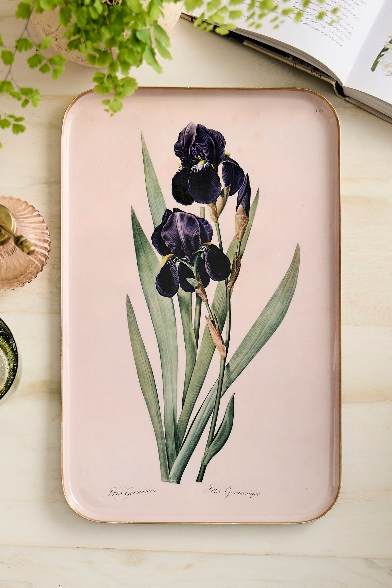 Printed Archival Tray, Large - Dark Navy, L