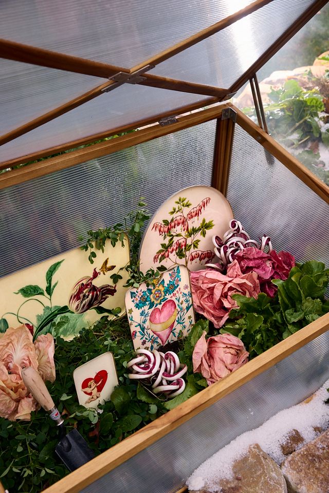 Printed Archival Tray, Large #1