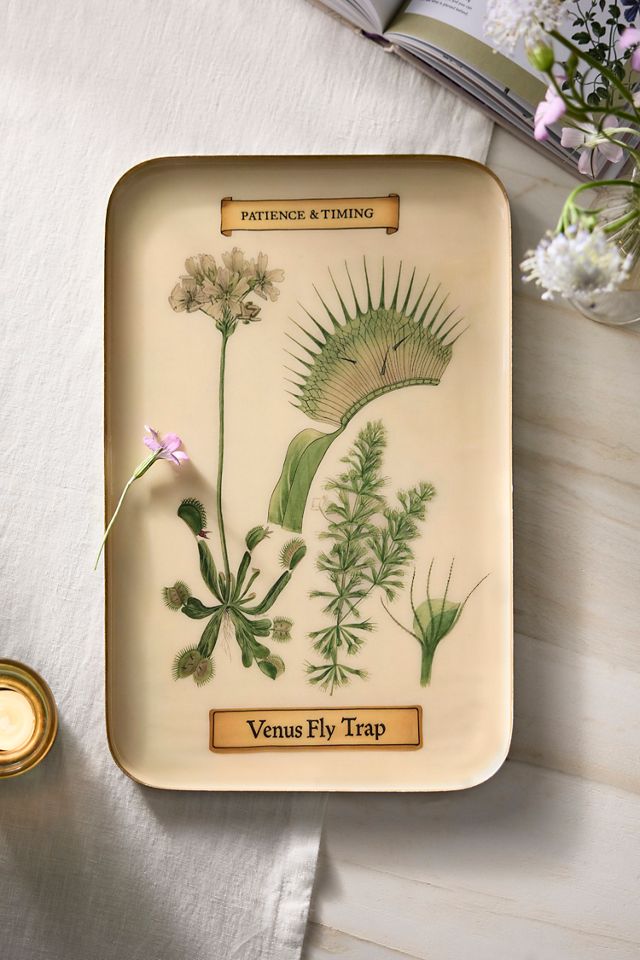 Printed Archival Tray, Large #2