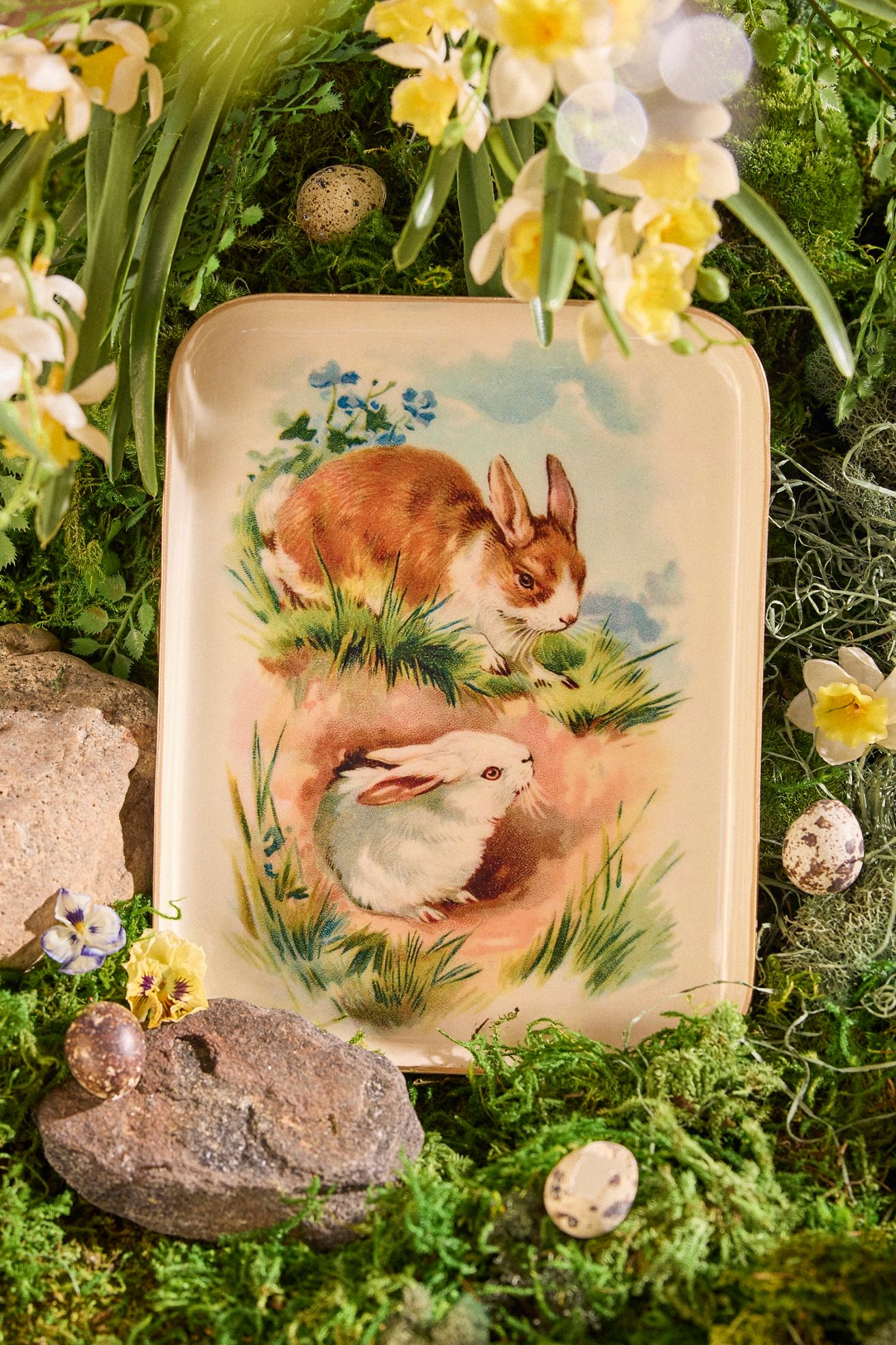 Printed Archival Tray, Small - Brown, M