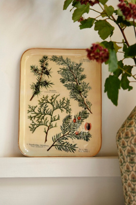 Terrain Printed Archival Tray, Small