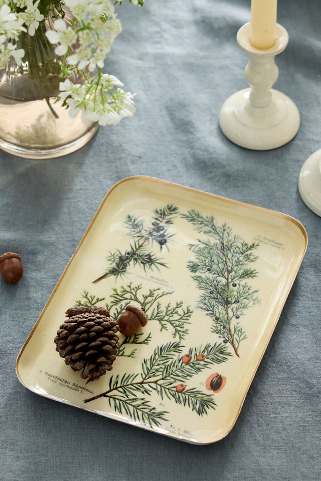 Printed Archival Tray, Small #1