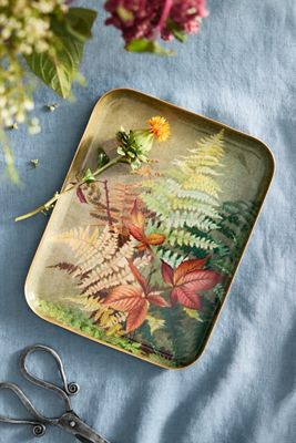 Printed Archival Tray, Small