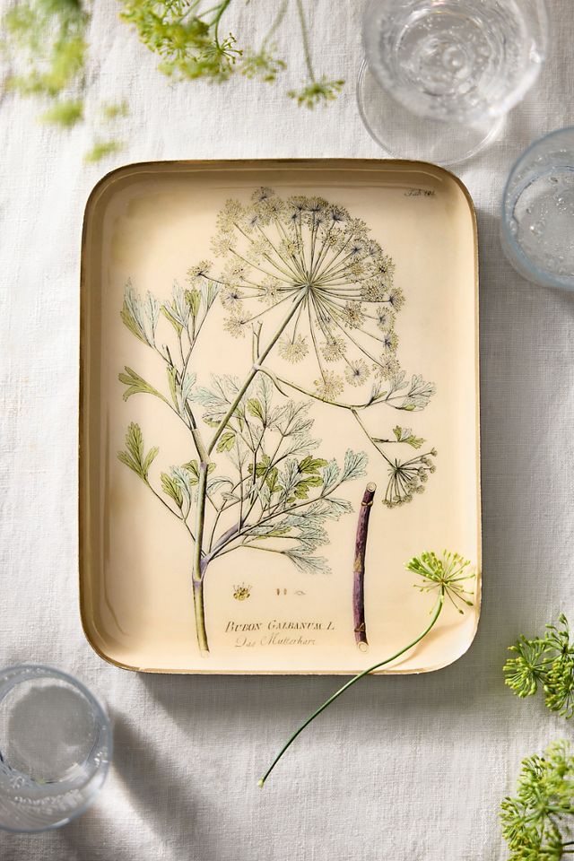 Printed Archival Tray, Small #1