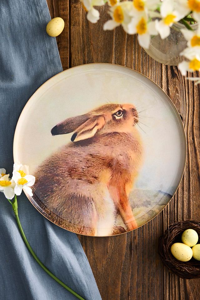 Printed Archival Tray, Round | AnthroHome