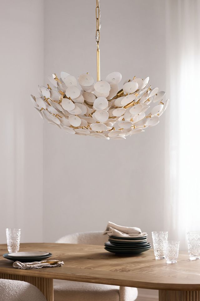 Aimi Chandelier | AnthroHome