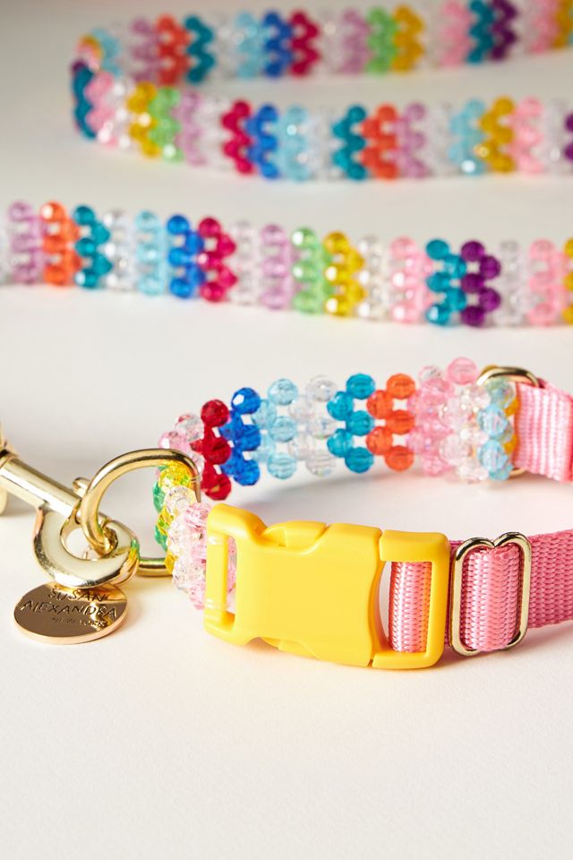 Susan Alexandra Beaded Walk Leash & Collar Bundle #2