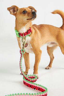 SUSAN ALEXANDRA BEADED WALK LEASH & COLLAR BUNDLE 