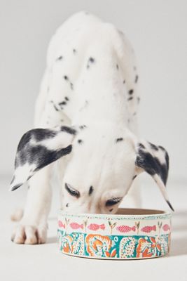Marina Pet Bowl