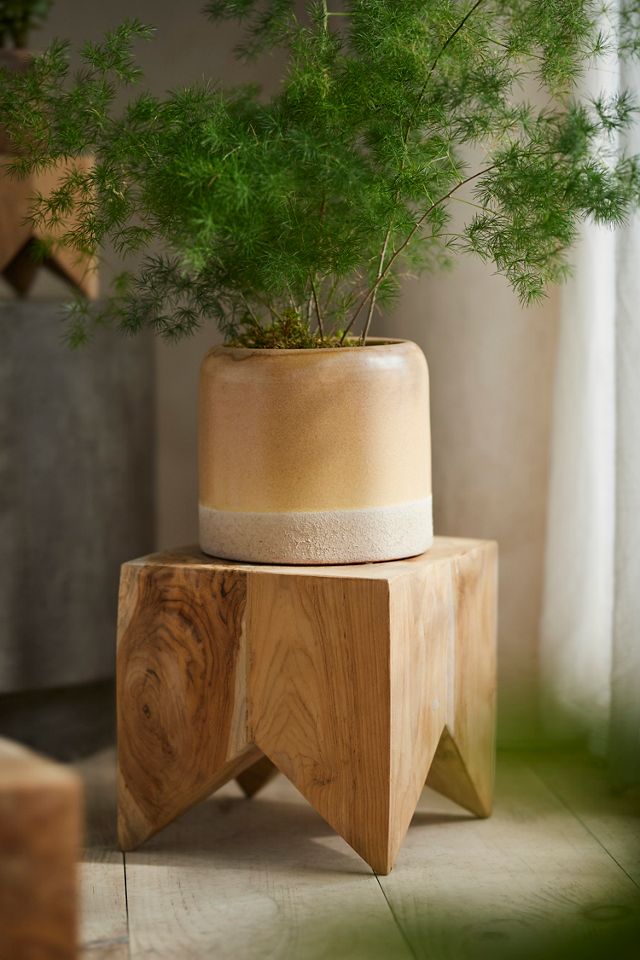 Acacia Block Plant Stand #1