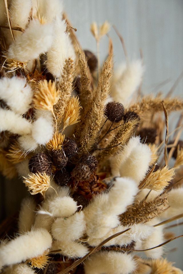 Dried Grass Mix Circlet Wreath #1