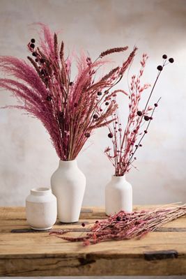 Dried Thai Mix Bouquet