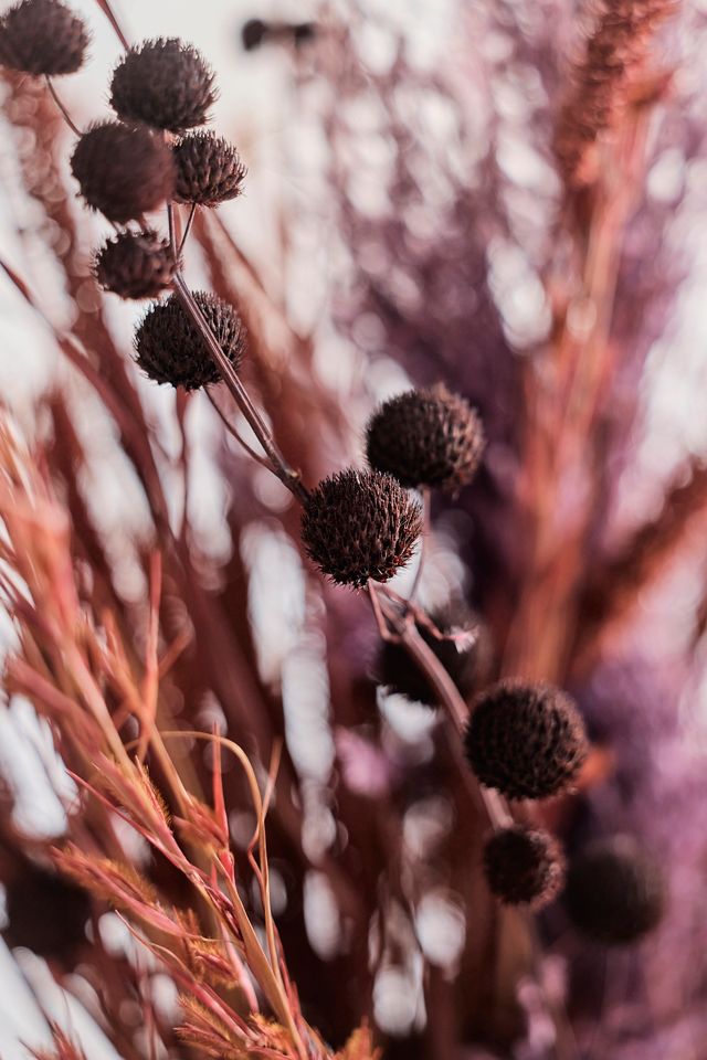 Dried Thai Mix Bouquet #1