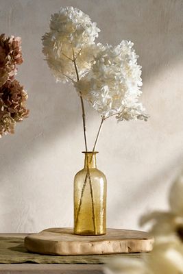 Preserved Hydrangea Pee Gee Bunch