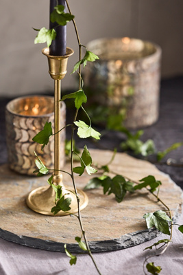 Terrain Preserved English Ivy Bunch