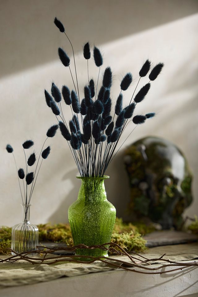 Preserved Black Bunny Tails Bunch | AnthroLiving