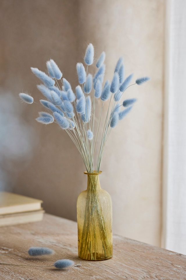 Preserved Bunny Tails Bunch