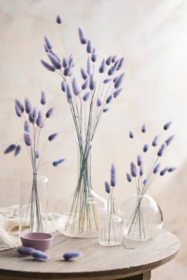 Terrain Preserved Two Tone Bunny Tails Bunch