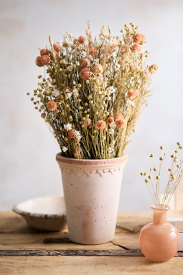 Terrain Dried Coral Gomphrena Bouquet In Pink