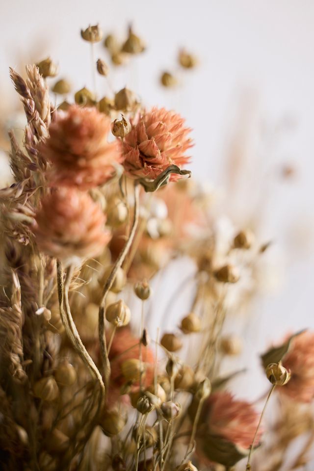 Dried Coral Gomphrena Bouquet #1