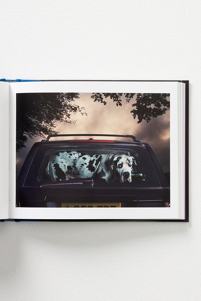 The Silence of Dogs in Cars #2