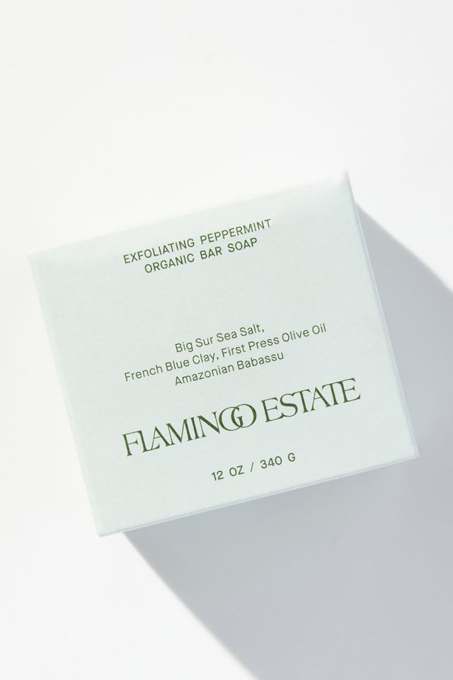 Flamingo Estate Exfoliating Peppermint Soap Brick #1