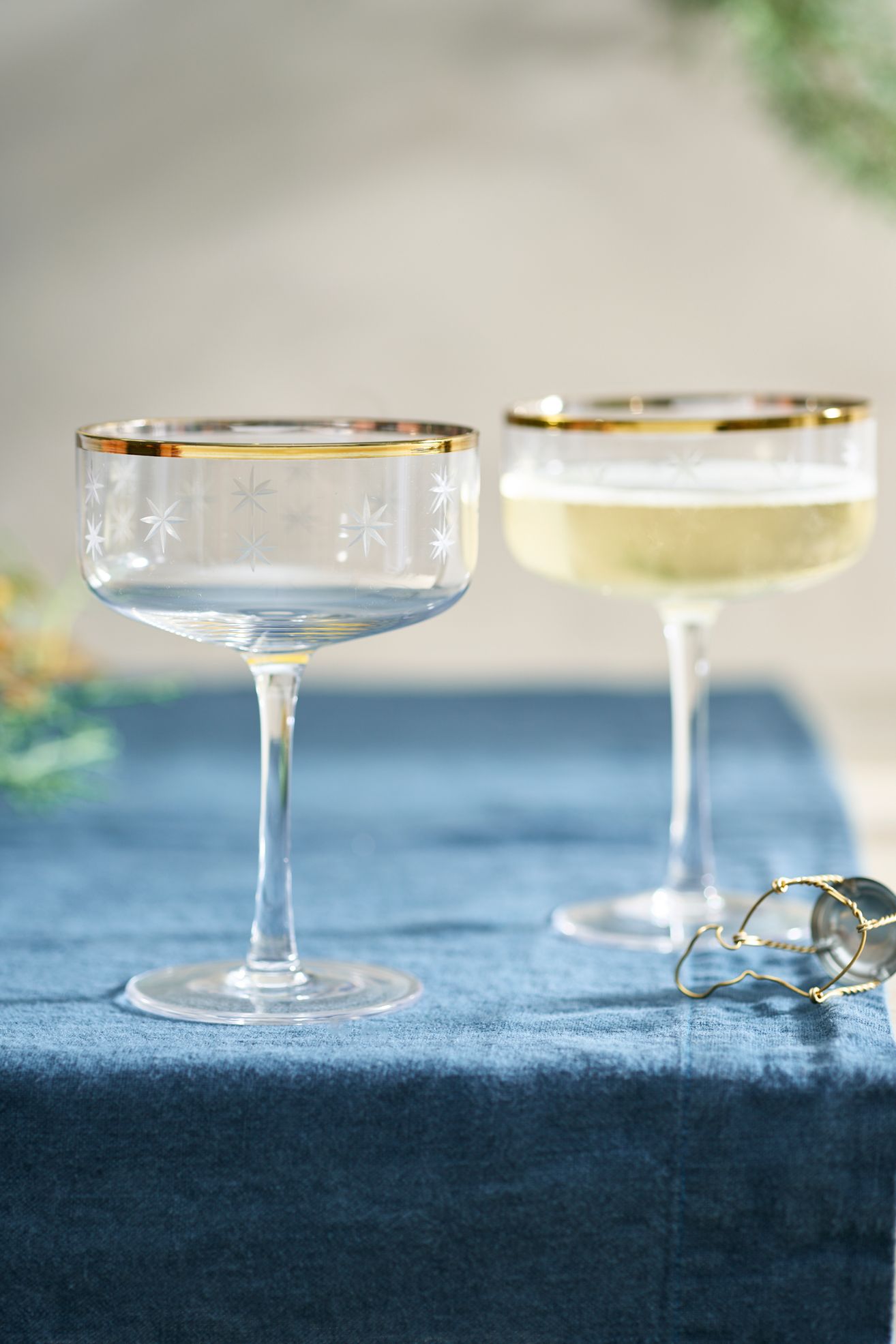 Starry Gold Rim Coupes, Set of 2 - Multi, Standard, One Size