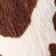 Brown Cow