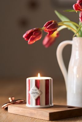 mise en place Fruity Heirloom Tomato Vine Ceramic Candle