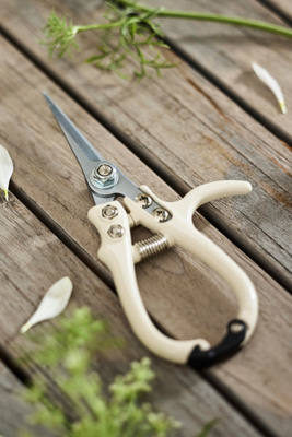 Precision Snips | AnthroLiving