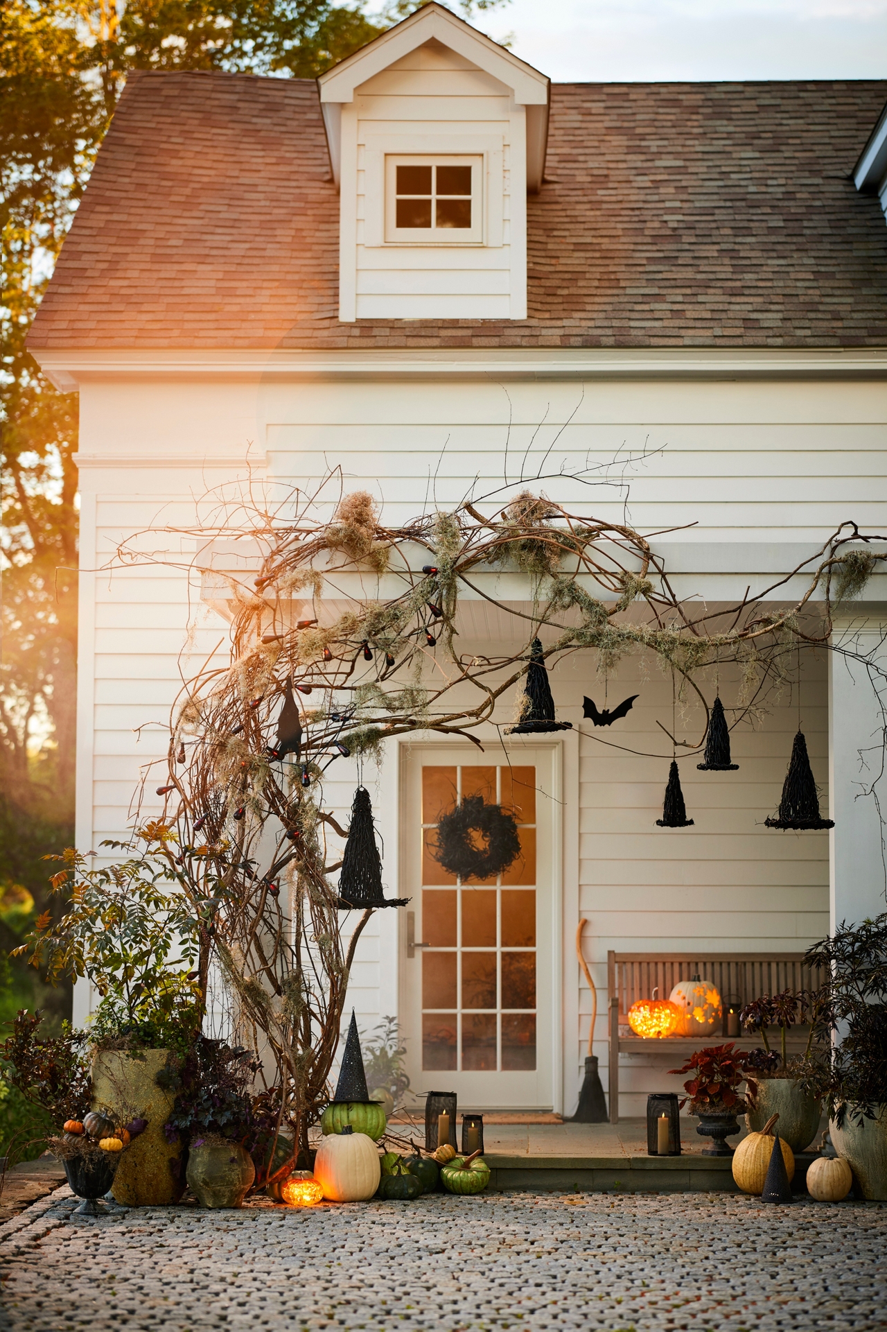 Fresh Spanish Moss