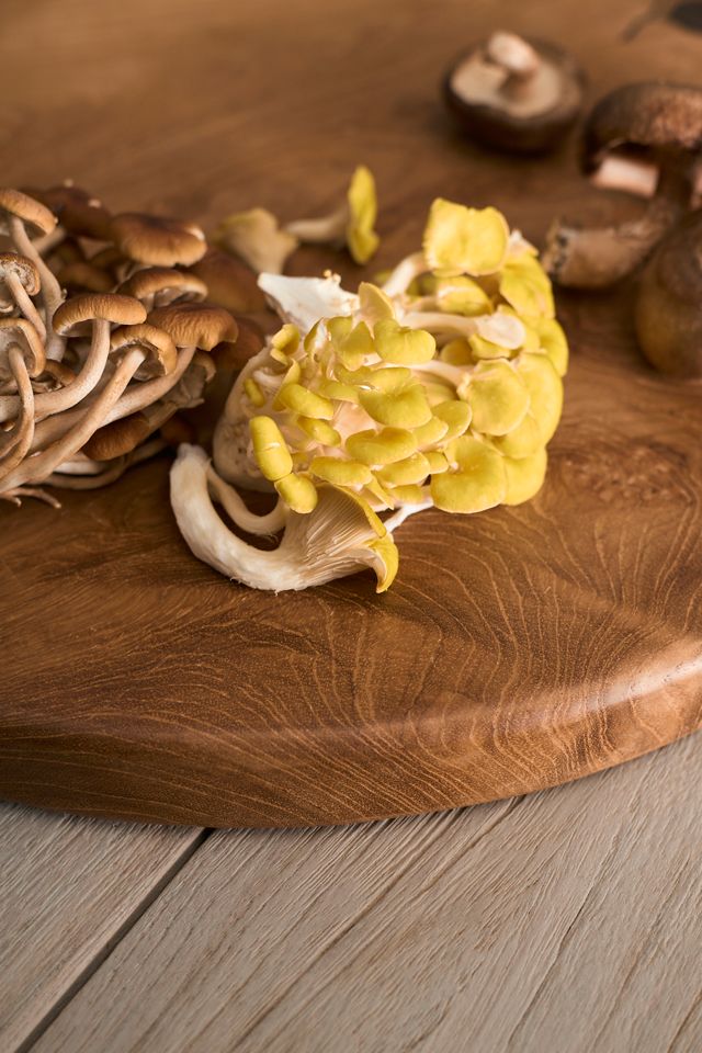 Ping Teak Root Serving Board #1