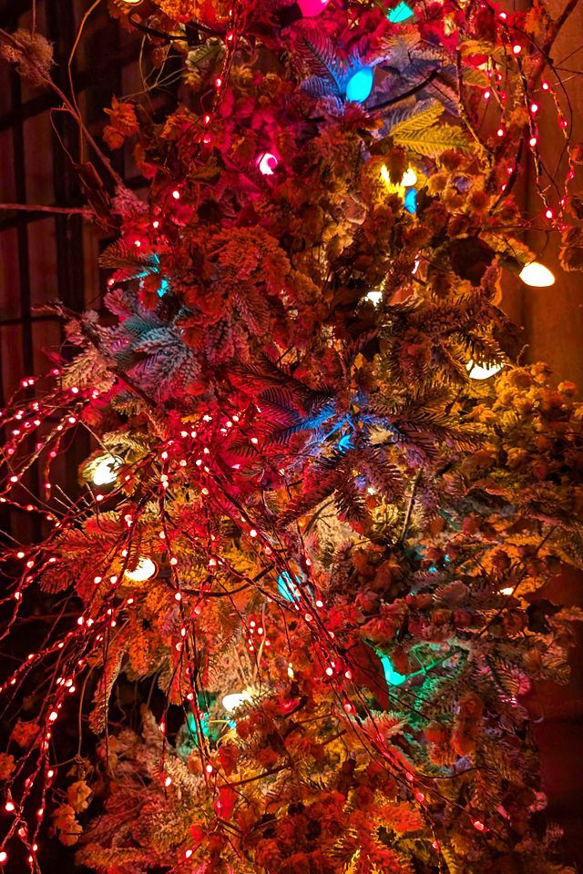 Stargazer Garden Lights, Set of 21 Bulbs, Yesteryear Candle Edition #2