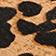 Brown Pattern