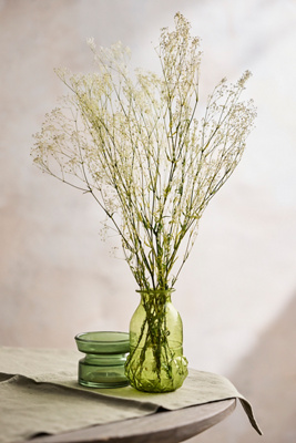 Terrain Preserved Gypsophila Bunch