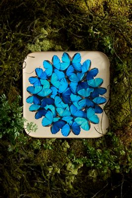 Printed Archival Tray, Square